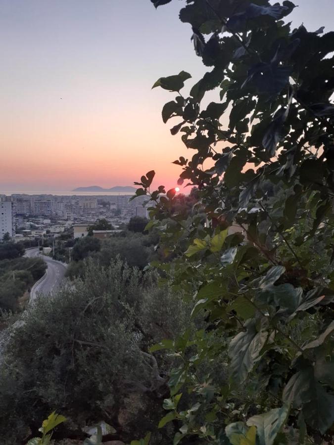 Vila Oliven Влёра Экстерьер фото